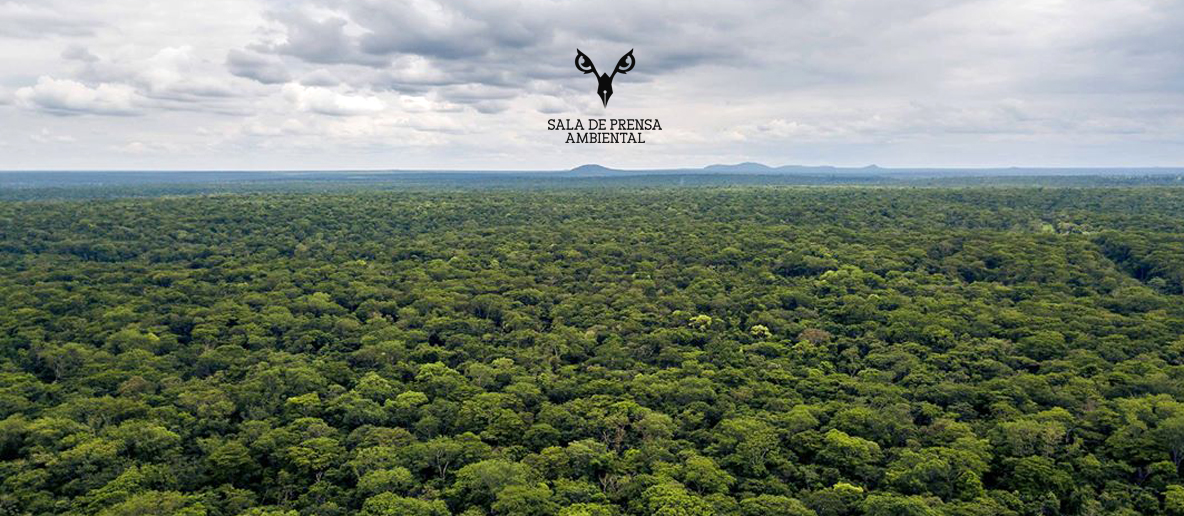 Vista Panorámica de la Chiquitanía, antes de los incendios forestales/ Fotografía FCBC